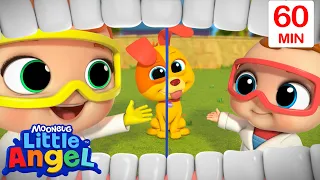 Baby Loose Tooth Song 🦷 | Bingo and Baby John | Little Angel - Nursery Rhymes and Kids Songs
