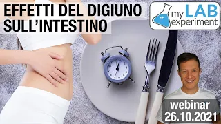 Effetti del digiuno sull'intestino