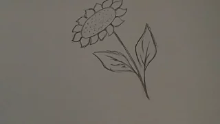 Рисуем, Подсолнухи, Рисовать карандашом, Paint draw, SUNFLOWERS, Pencil drawings