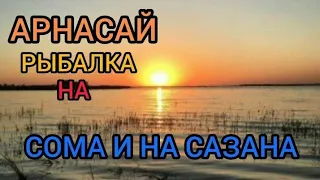 РЫБАЛКА НА СОМА И НА КРУПНОГО САЗАНА.