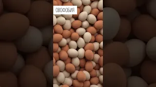 Fear of eggs. The strangest phobias