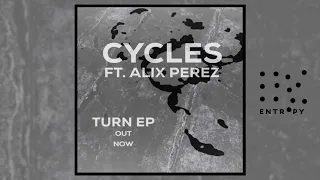 Icicle & Alix Perez - Cycles