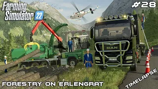 WOODCHIPS production & transportation 🌲🚜🚨| Forestry on ERLENGRAT | Farming Simulator 22 | Episode 28