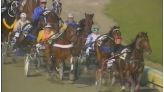 Harness Racing,Addington Raceway NZ-19/11/1994 Dominion Trotting Handicap (David Moss-M.McKendry)