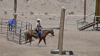 EXCA 2024 05 11 El Paso Sheriff's Posse Ranch Versatility #6 Vernon B Kissed By Gold