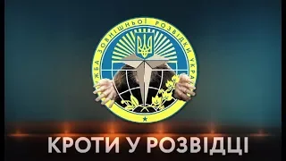 Кроти у розвідці