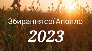 Збирання врожаю сої Аполло 2023 року🌱🚜🇺🇦