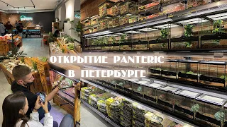 Открытие Panteric в СПб. Обзор зоомагазина