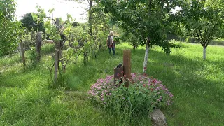 Епизод 29. За болестите по растенията. Първи билки.