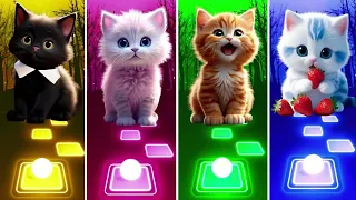 CUTE CATS LADY GAGA BLOODY MARY SHAKIRA WAKA WAKA BLACKPINK PINK VENOM BTS DYNAMITE