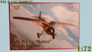Odcinek 361. IBG Models PZL P.11g "Kobuz". Część 1. Historia i inbox.