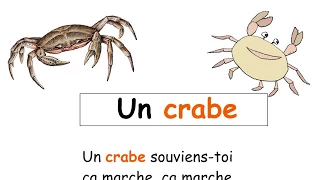 Un crabe souviens-toi