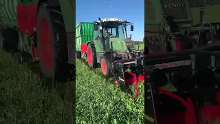 Eingrasen mit Fendt Farmer 307, BB Umwelttechnik Doppelmessermähwerk und Agrar Ladewagen im Allgäu