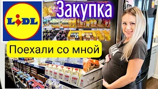 Срочное обращение к зрителям канала/Любимый Lidl /Цены/ Поехали со мной на закупку/ Жизнь в США/Влог