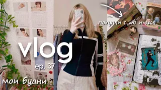 🧺 vlog ep. 37: мои будни, удачные покупки с wildberries и ozon, распаковка подарка