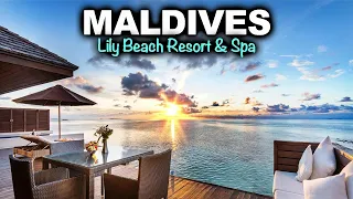Maldives - Lily Beach Resort & Spa  |  Resort Tour