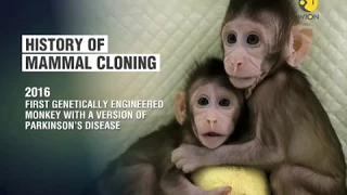 WION Gravitas: World's first cloned primates