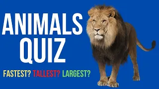 Kids Animals Quiz | Can you name the Tallest, Largest, Fastest Animals?