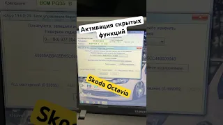 #Skoda #Octavia #skoda #vw #audi активация скрытых функций