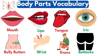 Body Parts Vocabulary | Daily Use English Vocabulary | Listen and Practice