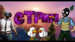 ​СТРИМ! MINECRAFT, VIMEWORLD, БЕСПЛАТНОЕ ПАТИ, ЧИТАЮ ЧАТ! ВСЁ ЧИКИ-ПУКИ!