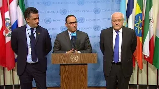 Situation in Palestine - Security Council Media Stakeout (14 Feb 18)
