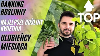 Top 10 roślin w KWIETNIU🌿 Moi ulubieńcy | Pokazuję i opowiadam 💚