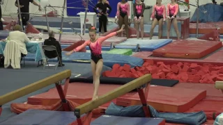 gymnastics - remember the name