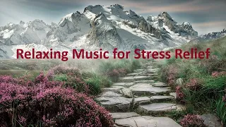 Relaxing Music, Gentle Music, Calms the Nervous System | Treats Diseases of Heart | #studymusic