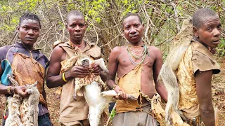 The Hadza Made It Again With a BIG Monkey