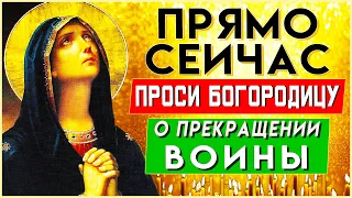 ПРОСИ БОГОРОДИЦУ О ПРЕКРАЩЕНИИ ВОЙНЫ. Утренние молитвы на день. Молитва Пресвятой Богородице