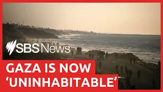 UN issues stark warning that Gaza Strip has become 'uninhabitable' | SBS News