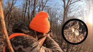 CRAZY OPENING DAY OF RIFLE SEASON - Public Land Whitetail Deer Hunting