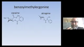 MOC/UMATS 2021: Psychostimulants - Cocaine, Amphetamine, and Methamphetamine