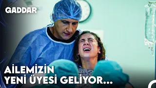 Pardon Biz Doğuruyoruz, Nereye Doğuralım? - Gaddar