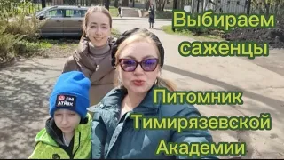 Питомник Тимирязевской Академии | Покупаем саженцы