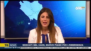 Tg news del 21 marzo 2020 ore 14