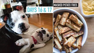 Mashed Potato Fries OMG!  |  Days 16 & 17 #spudfit #potatoreset