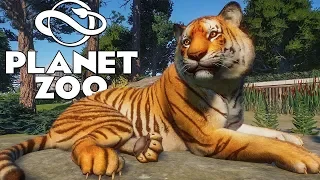 Planet Zoo Beta Franchise Mode Gameplay - Let's Build The Ultimate Bengal Tiger Habitat!