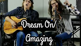 Steven Tyler - Dream On/Amazing - Recovery Unplugged 2014