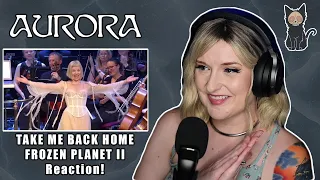 AURORA - Take Me Back Home Live from BBC Proms Frozen Planet II | REACTION