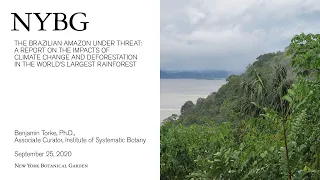 The Brazilian Amazon Under Threat