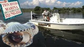 Scalloping in Crystal River