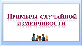 Примеры случайной изменчивости. Вероятность и статистика. 7 класс.