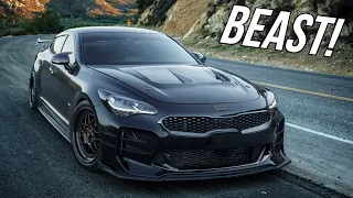 KIA STINGER BEAST ON CANYONS!