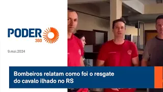 Bombeiros relatam como foi o resgate do cavalo ilhado no RS