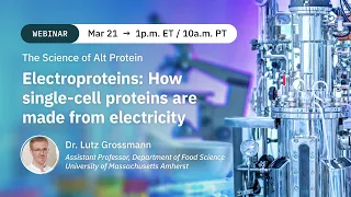 Dr. Lutz Grossmann: Electroproteins -- How single-cell proteins are made from electricity
