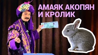 Амаяк Акопян и кролик | The Greatest Russian Miracle Maker