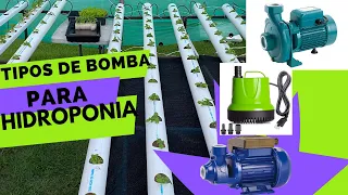 Qué bomba necesito para hidroponía ?, y otros tips !!!!