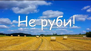 Не руби!   пение